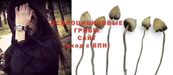 метамфетамин Абаза