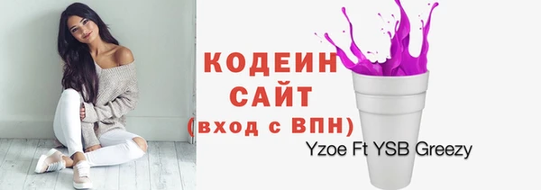 хмурый Абинск