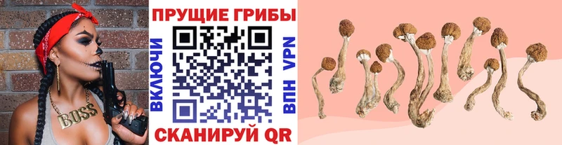 Галлюциногенные грибы ЛСД  наркотики  Сурск 